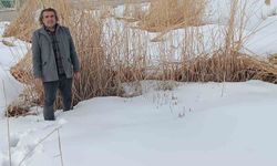 Sulak alanlar için hayati çağrı