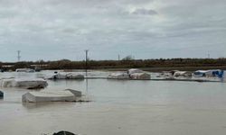 Tarsus'ta 8 bin dönüm tarım arazisi sular altında kaldı