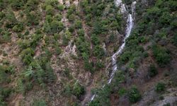 Taşkınlara neden olan yağmurlar kuruyan şelaleyi canlandırdı