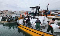 Tekirdağ açıklarında torik bereketi