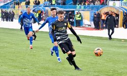 TFF 3. Lig: Ağrı 1970 SK: 1 - Erciyes 38 FK: 2