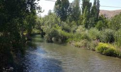 Tohma Çayı'nın ekolojik sağlığı bilimsel olarak ortaya kondu