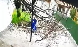 Tokat'ta fırtınanın devirdiği ağacın altında kalmaktan son anda kurtuldu