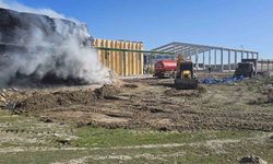 Tonlarca mısır balyası yandı