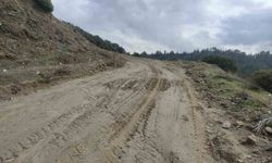 Toprak kayması nedeniyle okula gidemeyen öğrencilerin yolu açıldı