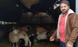 Trabzon'da ilginç görüntüler