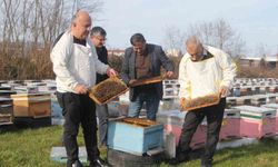 Türkiye'de en fazla bal üretiminin yapıldığı Ordu'da arıcılar sezona hazırlanıyor