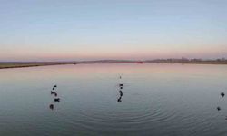 Uzunköprü'de kaçak avlanan 4 kişiye 762 bin TL ceza