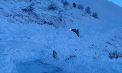 Vali Ergün: 'Arama kurtarma çalışmaları durmadı, çığ riski sebebiyle ara verildi'