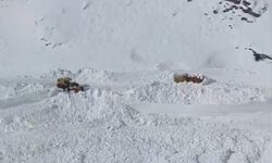 Van Bahçesaray'da mezra yoluna çığ düştü