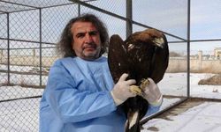 Van YYÜ'de yırtıcı kuşlar şifa bulup doğaya dönüyor