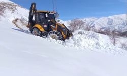 Van'da 78 yerleşim yerinin yolu kapalı
