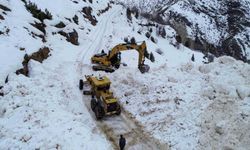 Van'da çığ düşen yol ulaşıma açıldı