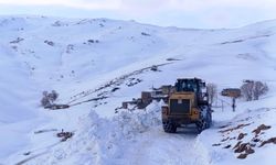 Van'da kardan dolayı kapanan 34 yerleşim yerinin yolu açılıyor