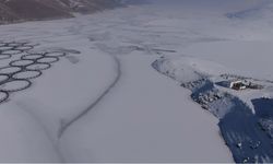 Van'da Sibirya soğukları: Dev barajlar buz tuttu