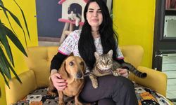 Veteriner kliniğindeki kedi ve köpek arasındaki ilginç dostluk