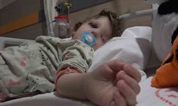 Yalova'da komşuların gürültü kavgasında 14 aylık bebek hastanelik oldu