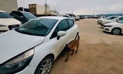 Yalova'da uyuşturucu operasyonu: 2 tutuklama