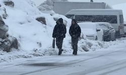 Yüksekova'da kar yağışı etkili oldu