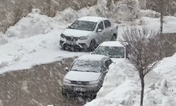 Yüksekova'da lapa lapa kar yağışı başladı