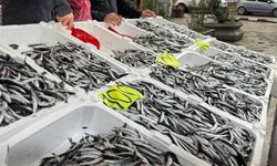 Zonguldak'ta Sevgililer Günü'ne özel hamsi kampanyası: Kilosunu 100 liradan sattılar