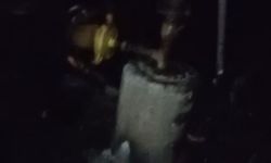 Adana'da 40 güvercin yangında telef oldu