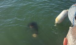 Akülü tekerlekli sandalyesiyle denize düşen kişi kurtarılamadı