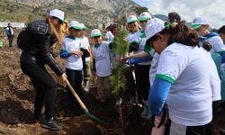 Akyaka'da yanan alan fidanlarla yeşeriyor