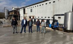 Alaplı Çayı'nda telef olmuş tavukların bulunmasının ardından tavuk çiftliği sahibi suçlamaları reddetti