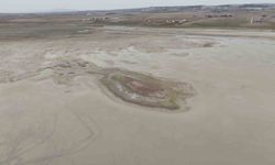 Allı turnaların yuvası yok oluyor