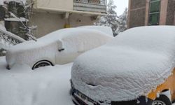 Ardahan'da kar yağışı yeniden başladı