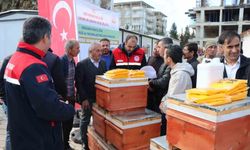 Arıcılara organik arısız 494 kovan dağıtıldı