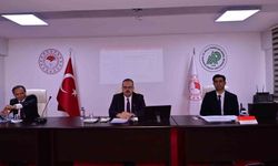 Aydın'da sahipsiz hayvanlara yönelik çalışmalar masaya yatırıldı