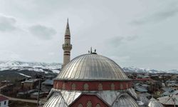 'Baharın habercisi' leylekler Muş Ovası'na gelmeye başladı