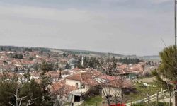 Baklan'da milyonlarca yıllık deniz yıldızı fosili bulundu