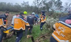 Balıkesir'de kontrolden çıkan otomobil zeytinliğe savruldu: 1 yaralı