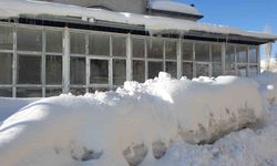 Başkale'de kar yağışı ve dondurucu soğuklar