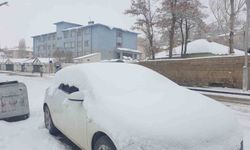 Başkale'de kar yağışı