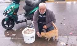 Bayramda sokak hayvanlarını unutmadı