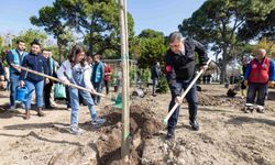Beton söküldü, umut filizlendi