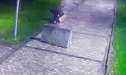 Beyoğlu'nda parkta düşürülen telefonu çaldı, o anlar kamerada