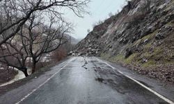 Beytüşşebap'ta heyelan nedeniyle 11 yerin yolu ulaşıma kapandı
