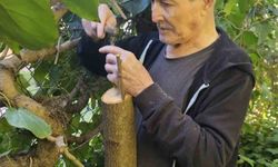 Bilecik huzurevinde kalan yaşlılar bahçeyi güzelleştiriyor