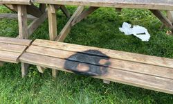 Bilecik'te kamu alanlarına verilen zarara tepki