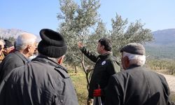 Bilecik'te üreticilere uygulamalı eğitim