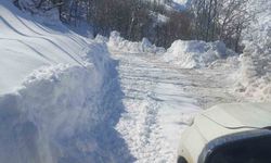 Bingöl'de kapalı köy yolları bir bir açılıyor