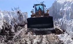 Bingöl'de karla mücadele çalışmaları sürüyor