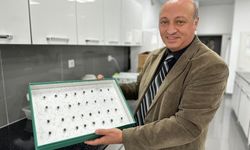 Böcekler cinayetleri aydınlatıyor: Ölüm zamanı ve olay yeri entomolojiyle belirlenebiliyor