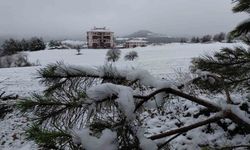 Bolu martta yağan karla beyaza büründü