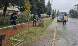 Büyükşehir ekiplerinden Nazilli yürüyüş yolunda bakım çalışması